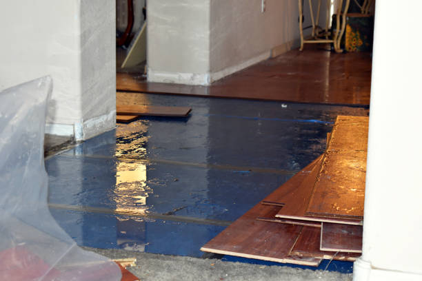 Professional Flood Cleanup technician working in Chester, IL